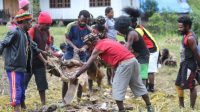 Evaluasi Otsus Papua Menyeluruh