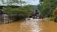 Mensos Risma Tengok Korban Banjir dan Longsor Jayapura