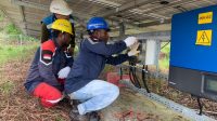 PLN Butuh Dana Rp6 T untuk Elektrifikasi Papua, Sulawesi, Maluku