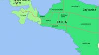 Ini Dampak Buruk Pemekaran Papua