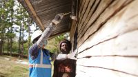 Harga Listrik Naik, PLN Pastikan Masyarakat Kecil di Papua Dilindungi