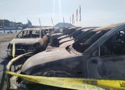Polisi: 13 Mobil Terbakar di DPRP, 4 Saksi Sudah Dimintai Keterangan