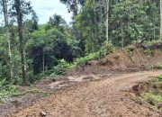 Dugaan Korupsi Proyek Jalan di Bintuni Disidik