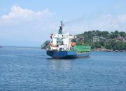 Ekspor Papua Tembus US$723,86 Juta