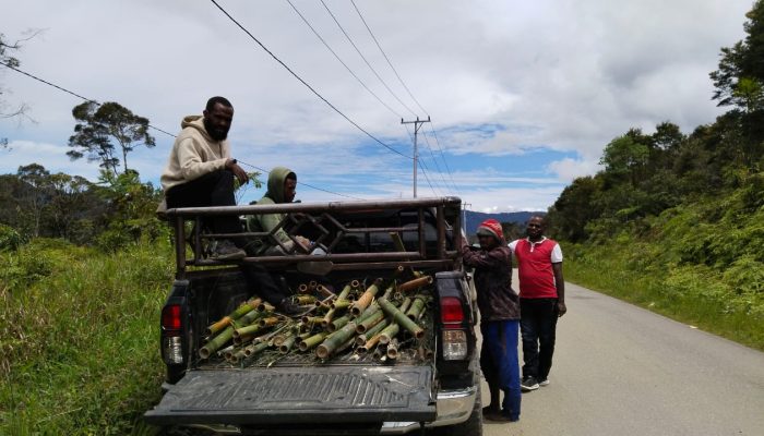 KNPI Dogiyai Tanam Pohon di Ruas Jalan Trans
