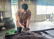 Kopi Ambaidiru Tembus Pasar Luas Ditopang BRI
