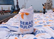 2023, Bulog Merauke Serap 1.082 Ton Beras Petani