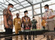 Papua Selatan Dibidik Jadi Sentra Pangan Nasional
