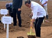 Presiden Tanam Tebu di Merauke