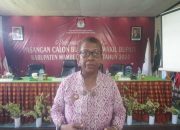 Pendaftaran PTPS Pilkada 2024 di  Mamberamo Raya Dibuka