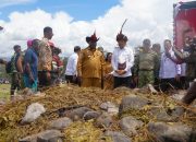 Operasional 4 Daerah Otonomi Baru Papua