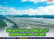 Komisi IV Bentuk Tim Tinjau Dampak Tailing Freeport di Mimika