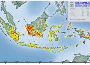 BMKG: Lebih dari 3.000 Titik Panas Terdeteksi di Papua