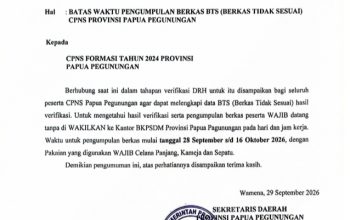 INFO CPNS: Pemprov Papua Pegunungan Umumkan Batas Waktu Pengumpulan Berkas CPNS Formasi Tahun 2024