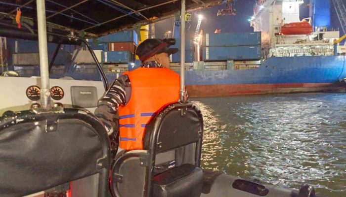 Penyelundupan Kayu Merbau dari Nabire Senilai Rp5,5 M Digagalkan