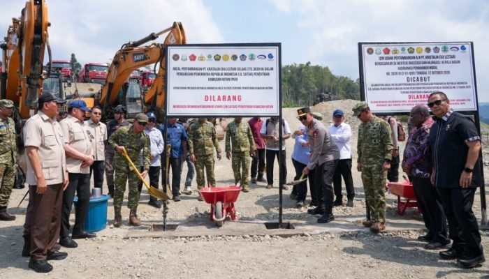 Tambang Ilegal 275 Hektare di Nabire Ditutup