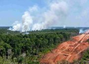 WALHI: 8.324 Hotspot Kepung Papua, Terbanyak di Food Estate
