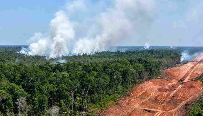 WALHI: 8.324 Hotspot Kepung Papua, Terbanyak di Food Estate