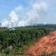 WALHI: 8.324 Hotspot Kepung Papua, Terbanyak di Food Estate